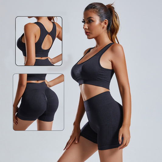 Seamless Perfection 2 Piece Women Yoga Set with Vest and Shorts for Ultimate Fitness Sportswear