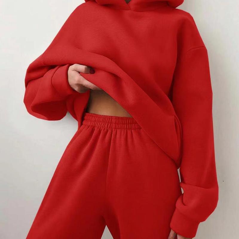 Women's Casual Outfits Hooded Sweater Two-piece Suit Clothes Hoodie Tracksuit