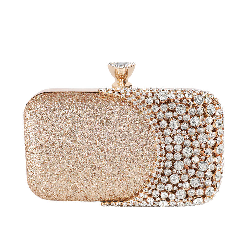 Diamond Radiance Ladies Evening Bag with Inlaid Diamonds