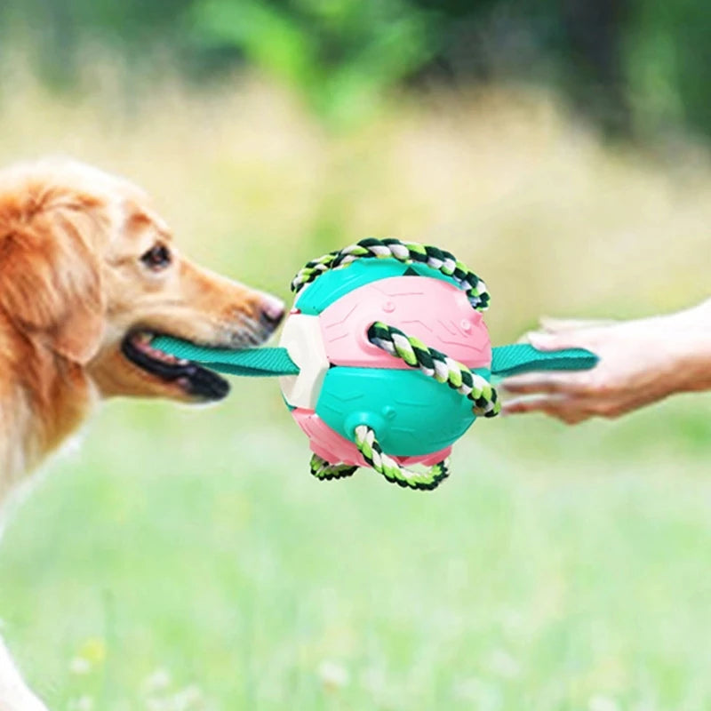 Dog Soccer Ball Interactive Pet Toys Foldable Ball Molar Toy Outdoor Training Ball for Puppy Dog Chew Dog Accessories